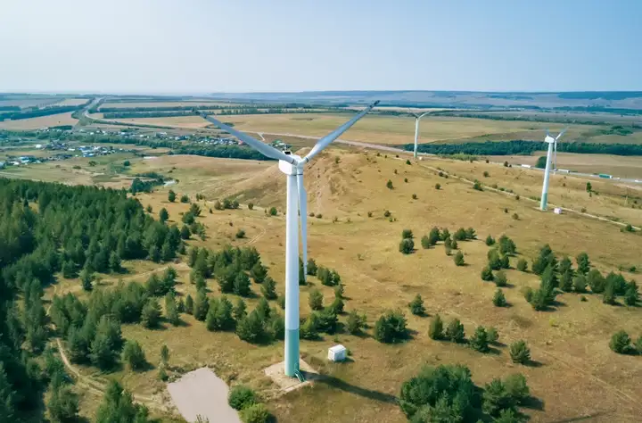 26 de enero: qué se celebra hoy