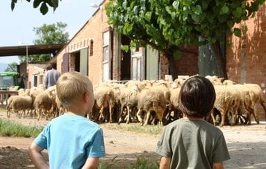 Fiesta «Benvinguts a Pagès»