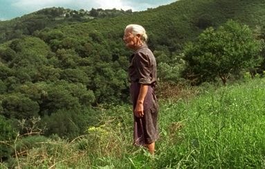 Ciclo de cine «Cine en el Jardín»