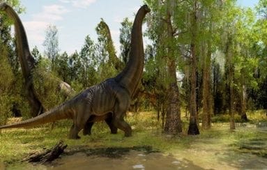 Exposición inmersiva «Dinoverse: viaje a la era de los dinosaurios»