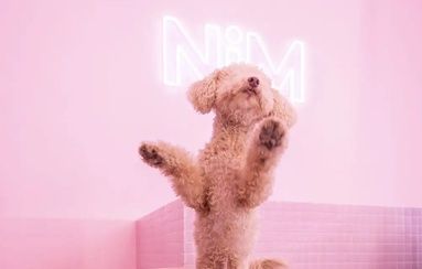 La locura rosa: 10 sitios irresistibles en Madrid