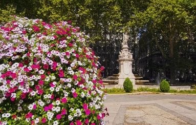 Compras en Las Letras: librerías, diseño local y hallazgos con historia