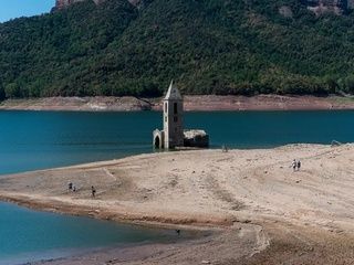 La sequía deja calles sin árboles en Barcelona y ahora faltan ejemplares para replantar