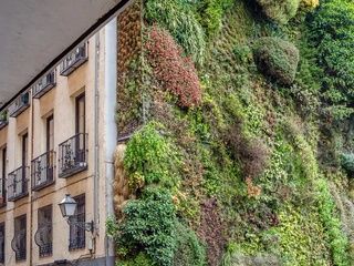 Madrid gana espacios verdes en vertical en calles y edificios