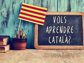 El uso del catalán preocupa a más de la mitad de los catalanes según el CEO