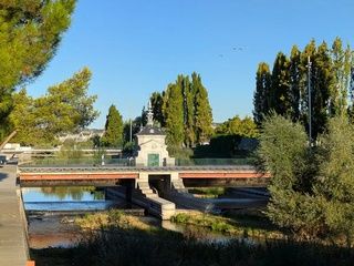 Madrid refuerza el control de la mosca negra en el Manzanares