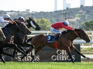 El Hipódromo de la Zarzuela convierte los domingos en un plan familiar único en Madrid