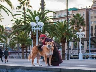 Barcelona lanza nuevas sanciones contra el incivismo y pone el foco en los perros
