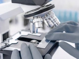Vall d’Hebron detecta nueve casos de una infección cutánea rara en Barcelona