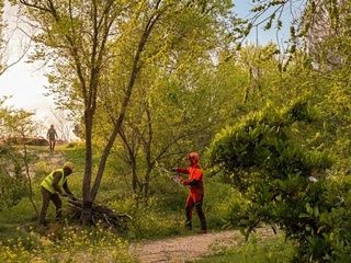 Nuevo parque en Montecarmelo: más zonas verdes y debate abierto en el barrio