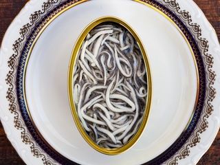 El Gobierno español se plantea prohibir la angula: la alta cocina reacciona