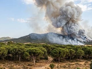 Más de 10.000 evacuados y alerta máxima por los incendios en Madrid y Ávila