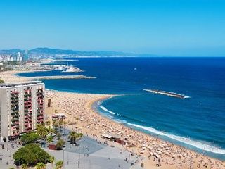 El aumento del calor en el mar pone en riesgo especies clave del Mediterráneo