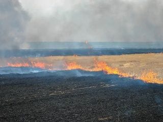 Madrid prepara ayudas para recuperar las explotaciones arrasadas por los incendios