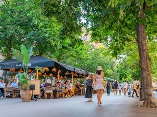 Nuevos árboles en Barcelona impulsan espacios verdes y hábitos saludables