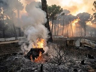 Madrid activa ayuda urgente para el ganado afectado por los incendios