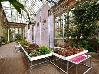 El Hivernacle de la Ciutadella revive como jardín experimental de Darwin en Barcelona