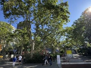 Ayuntamiento planea eliminar vados inactivos en el Eixample para plantar más árboles