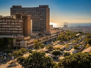 Badalona da luz verde inicial a la ampliación del campus de Can Ruti
