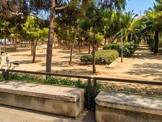 El Parc de Joan Miró afronta una reforma con más vegetación