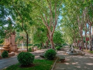 Madrid cambia el mantenimiento de sus parques: más jardineros, IA y limpieza diaria