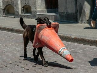 Un perro en las vías paraliza durante dos horas parte de la L3 del metro