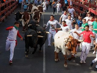 San Sebastián de los Reyes despide agosto con encierros y grandes conciertos gratis