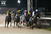 Las Noches del Hipódromo 2026