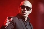 Pitbull