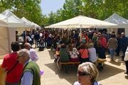Rosas y cerveza: Fira de la Cervesa Artesana