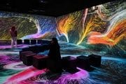 Exposición inmersiva «Somos Naturaleza»