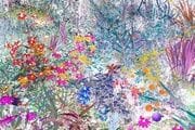 Exposición «El jardín revelado. José Quintanilla»