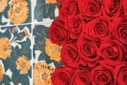Visitar la Casa Vicens