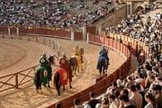 Los Cuatro Reinos: El Gran Torneo Medieval