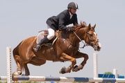 IFEMA Madrid Horse Week