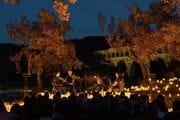 Concierto «Candlelight Open Air: Lo Mejor de Hans Zimmer»