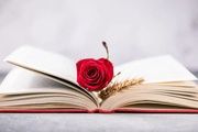 Celebrar Sant Jordi de manera asiática