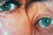 Retrospectiva de Barbara Hammer