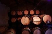Visita a Bodegas con Cata de Vinos
