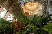 Refugio Climático en el Círculo de Bellas Artes