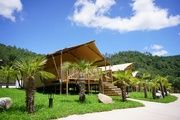 Can Bora Lodges
