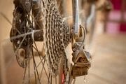 Cine al aire libre y exhibición de bicicletas