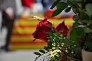  Los planes alternativos para un Sant Jordi 2026 diferente (y memorable)