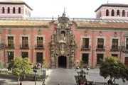 Ir de museo