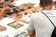 «¡Flipbooks! Animales invisibles» — Museu de Ciències Naturals