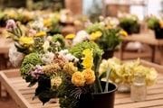 Flowers by Bornay