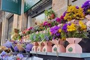 Herbs Barcelona