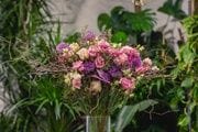 Flors Margarita