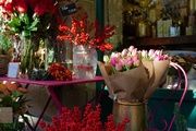 Au Nom de la Rose