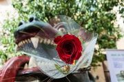  Planes para celebrar Sant Jordi en Barcelona